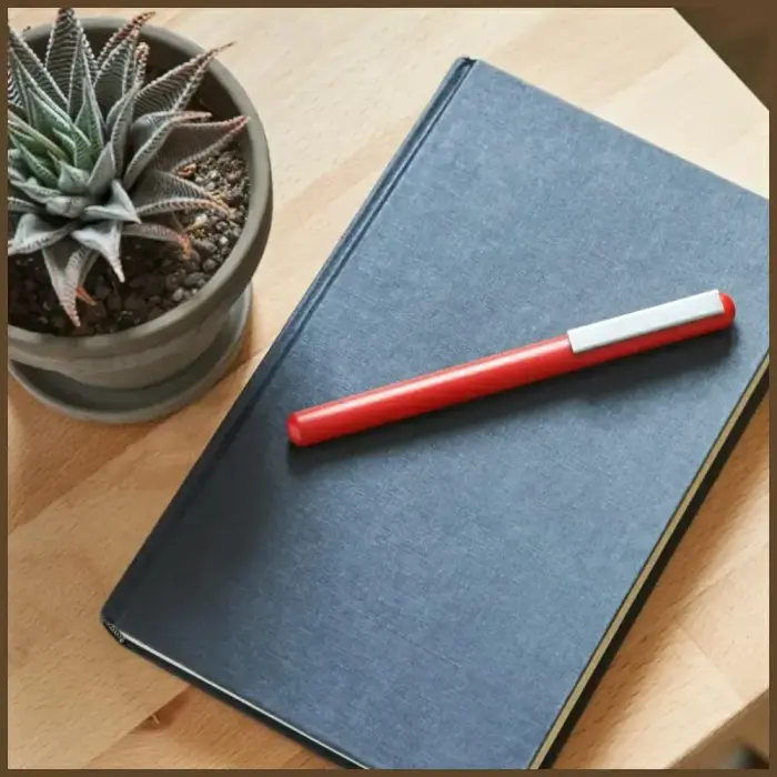 Lexon C-Pen Pen with USB-C 32GB Flash Drive dark red LS101DR Фото 10