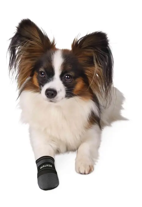 Aizsardzības apavi suņiem - Trixie Walker Protective Boots "S" gab, West Highland Terrier Foto 2