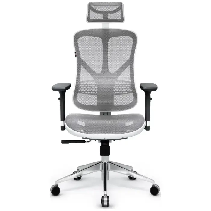 Ergonomic chair Diablo Chairs V-Basic white-gray Фото 2