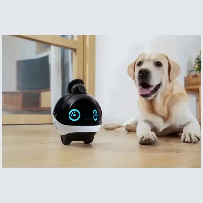 Intelligent companion robot ENABOT   EBO X Foto 9