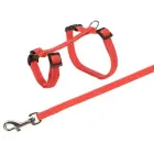 Krūšu siksna un pavada trušiem - Trixie Rabbit Harness with Lead, 25/44cm/10mm, 1.25m Foto 4