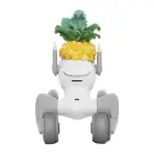 Knitted costume for Loona Premium Pineapple Foto 3