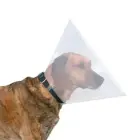 Pēcoperācijas apkakles - Trixie Protective collar, plastic, S–M: 31–38 cm/15 cm Foto 1