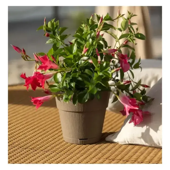 Puķu pods ar paliktni Ethica Ø20x19cm brūns  Foto 2