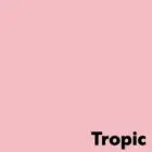 Krāsains papīrs IMAGE COLORACTION, A4, 80 gsm, 50 loksnes, TROPIC / PALE PINK Foto 2