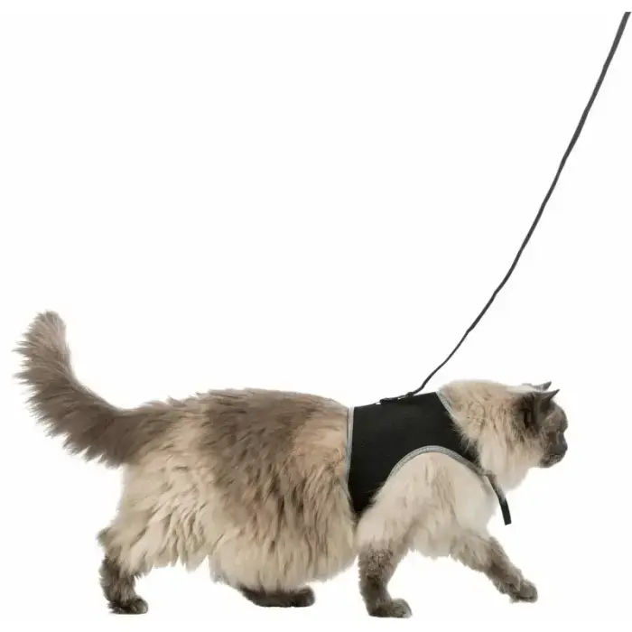Krūšu siksna veste ar pavadu kaķiem - Trixie Soft harness with leash for cats, XL, 36–54 cm, 1.20 m Foto 3