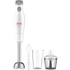 TEFAL Rokas blenderis Tefal Easychef 3in1, 450W, balts/nerūsējošais tērauds Photo 1