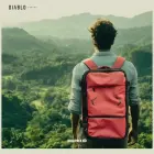 Backpack Diablo Chairs Backpack Air Multifunctional Vacuum burgundy Photo 19