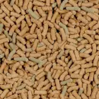 Barība reptiliem : Sera Raffy P, 3800ml (700g) Foto 2