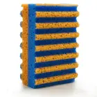 Sponge in four shades Colour Photo 1