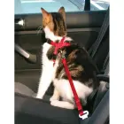 Krūšu siksna ar pavadu kaķiem - Trixie Car harness for cats, 20–50 cm/15 mm Фото 2