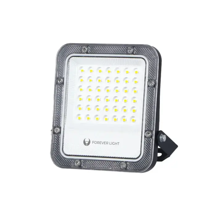 Floodlight LED PROXIM+ 30W 6500K 4500lm 230V IP65 Forever Light 150lm/W 5 years warranty Foto 2