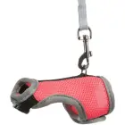 Krūšu siksna žurkām - Trixie Soft harness with leash, rats, 12–18 cm, 1.20 m Foto 3