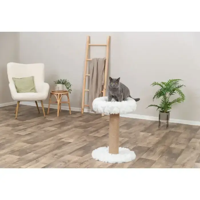 Nagu asināmais - Trixie Mirella cat tree with bed, 68 cm Foto 2