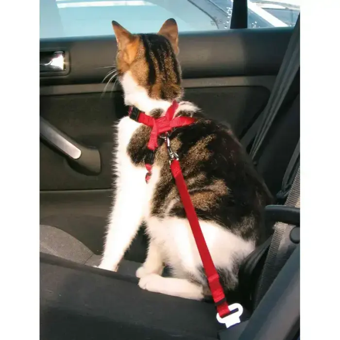 Krūšu siksna ar pavadu kaķiem - Trixie Car harness for cats, 20–50 cm/15 mm Фото 2