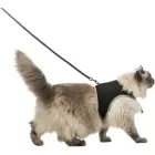 Krūšu siksna veste ar pavadu kaķiem - Trixie Soft harness with leash for cats, XL, 36–54 cm, 1.20 m Foto 4