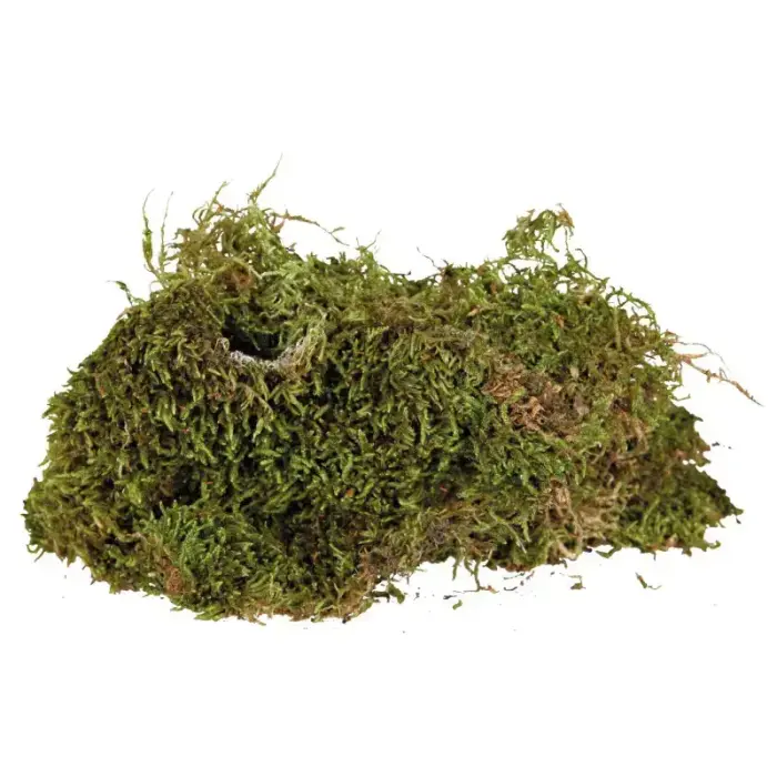 Sūnas terārijam  : Terrarium moss Trixie, 200 g Foto 3