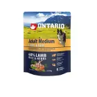 Sausa barība suņiem - Ontario Dog Adult Medium Lamb and Rice,  0,75kg Foto 1