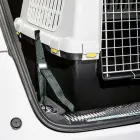 Seat belts for the car 3 pcs. for transport cage Gulliver Touring Photo 2
