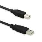 Qoltec USB 2.0 cable A male | B male | 0.5m Photo 1