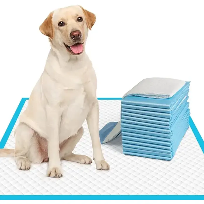 Goodbuy Disposable nappies for animals 20 pcs 60×90 cm Photo 2