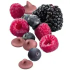 Papildbarība grauzējiem : Trixie Wild berry drops, 75 g Фото 2