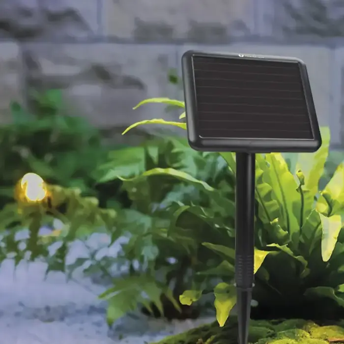 Forever Light LED Solar Garland SUNARI FLS-60 7,5m 10 bulbs IP44 Foto 6