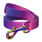 WAUDOG gradient nylon dog leash, 20mm wide, 122cm long, purple Фото 1