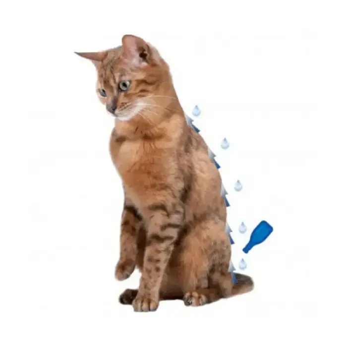 Pilieni pret blusām, ērcēm kaķiem - Beaphar IMMO SHIELD LINE-ON Cat, 3 pipetes Foto 2