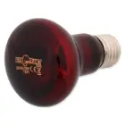 Sildoša spuldze terārijam : Repti Planet Bulb Infrared HEAT 75W Фото 2