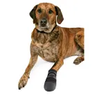 Aizsardzības apavi suņiem - Trixie Walker Care Protective Boots "M" 2pcs, Border Collie Foto 2