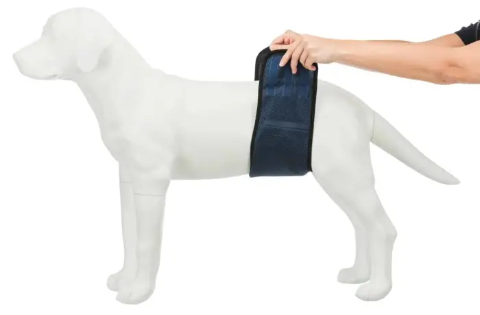 Autiņbiksītes suņiem : Trixie Diapers for male dogs, mesh material, M: 45–55 cm, dark blue Foto 6