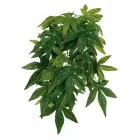 Dekors terārijam : TRIXIE Silk hanging plant, Abutilon, 20*30 cm Foto 1