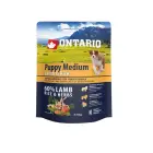 Sausā barība kucēniem - Ontario Dog Puppy Medium Lamb and Rice, 0.75kg Foto 1