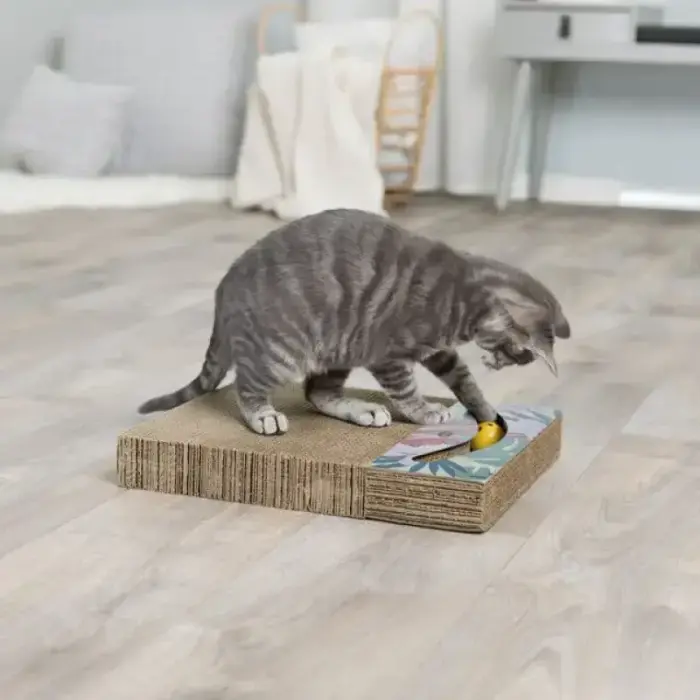 Nagu asināmais - Trixie Scratching cardboard with toys, 38 x 5 x 30 cm Foto 2