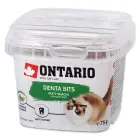 Gardums kaķiem – Ontario Dental bits, 75 g Photo 1