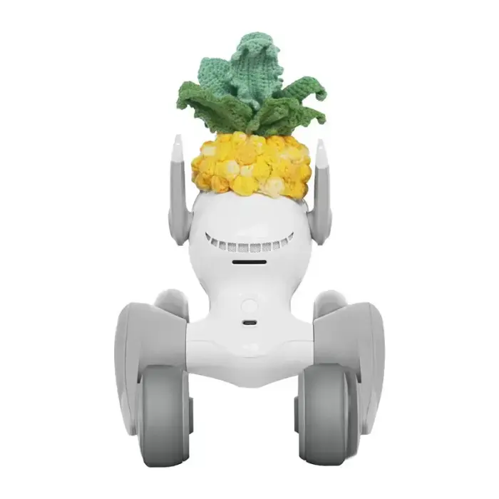 Knitted costume for Loona Premium Pineapple Foto 3