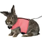 Krūšu siksna un pavada trušiem - Trixie Rabbit soft harness with leash, nylon, 25–32 cm, 1.20 m Foto 1