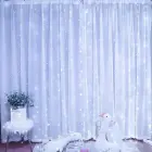 LED CURTAIN (100 LED LAMPS) 3Mx1M COLD WHITE Foto 1