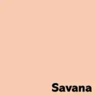 Krāsains papīrs IMAGE COLORACTION, A4, 80 gsm, 50 loksnes, SAVANA / PALE SALMON Foto 2