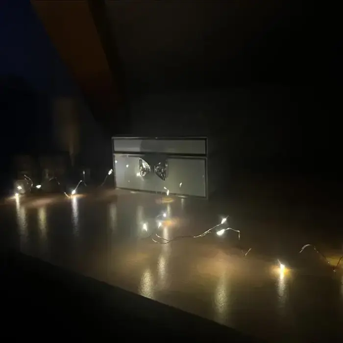 LED WIRE FOR CHRISTMAS DECORATIONS (100CM) BATTERY-POWERED Foto 2