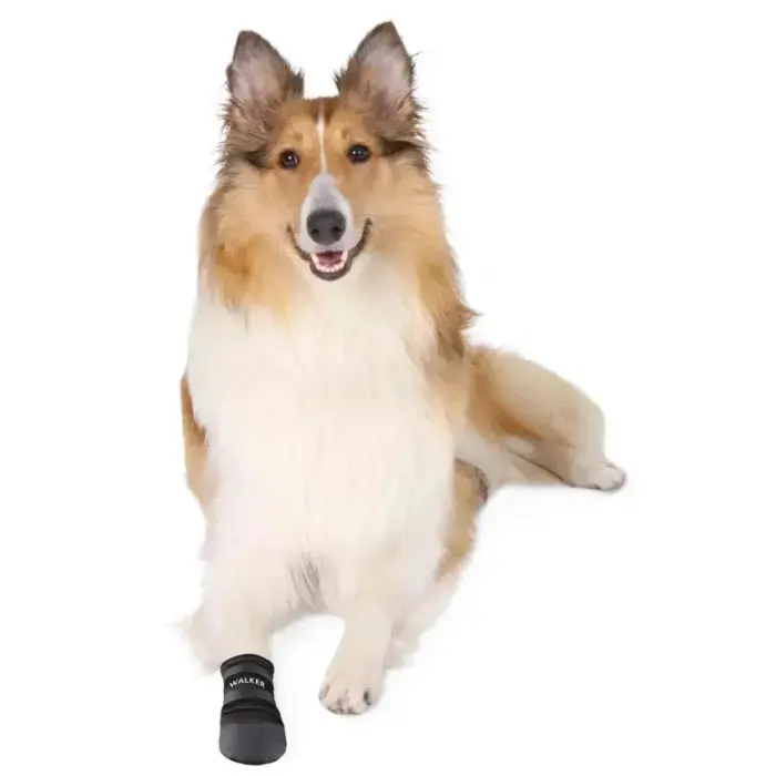 Aizsardzības apavi suņiem - Trixie Walker Care Protective Boots "M" 2pcs, Border Collie Foto 3