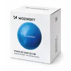 Wozinsky WPDP-N22 rehabilitation exercise ball 25cm - blue Photo 2