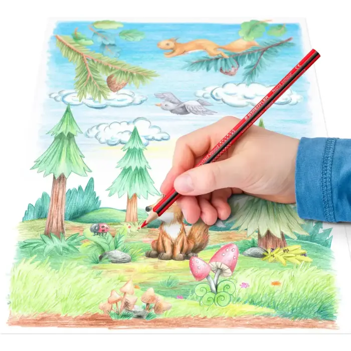 Krāsainie zīmuļi STAEDTLER NORIS, 12 krāsas Foto 5