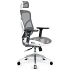 Ergonomic chair Diablo Chairs V-Basic white-gray Фото 1
