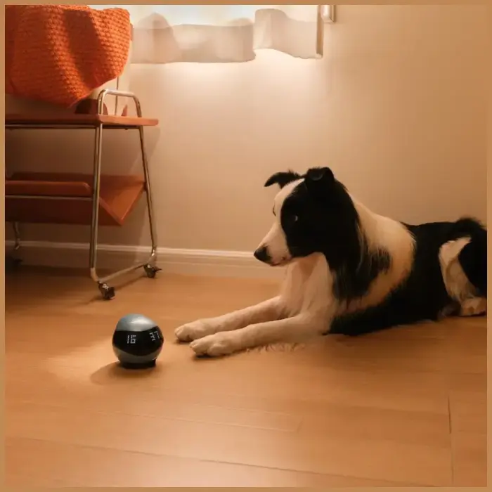 Intelligent companion robot ENABOT   EBO Air2 blue Foto 7