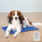 Atsvaidzinošs paklājs dzīvniekiem - Trixie Cooling mat 90*50cm Foto 1