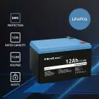 Qoltec LiFePO4 lithium iron phosphate battery | 12.8V | 12Ah | 153.6Wh | BMS Foto 2