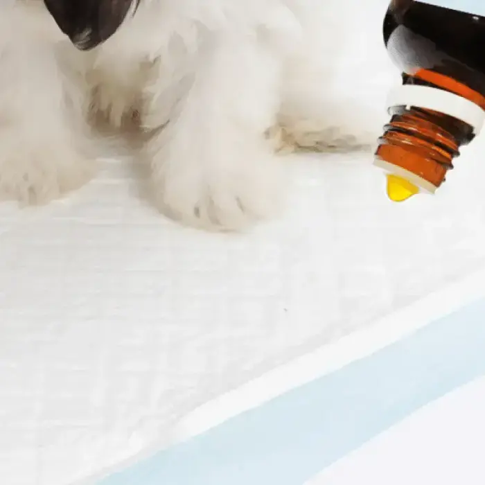 Suņu piesaistošs līdzeklis - Beaphar Puppy Trainer 50ml Foto 2