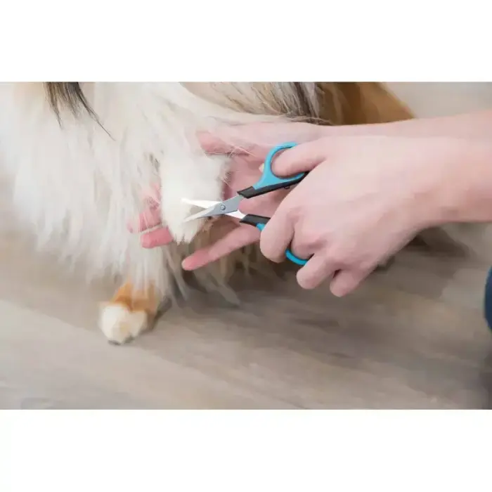 Šķēres cirpšanai - Trixie Face and Paw Scissors 8 cm Foto 2